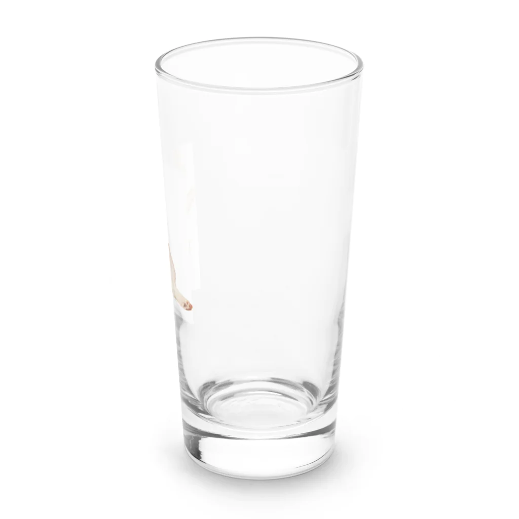 saiakunの今日も元気なハオchanのチャームポイント Long Sized Water Glass :right