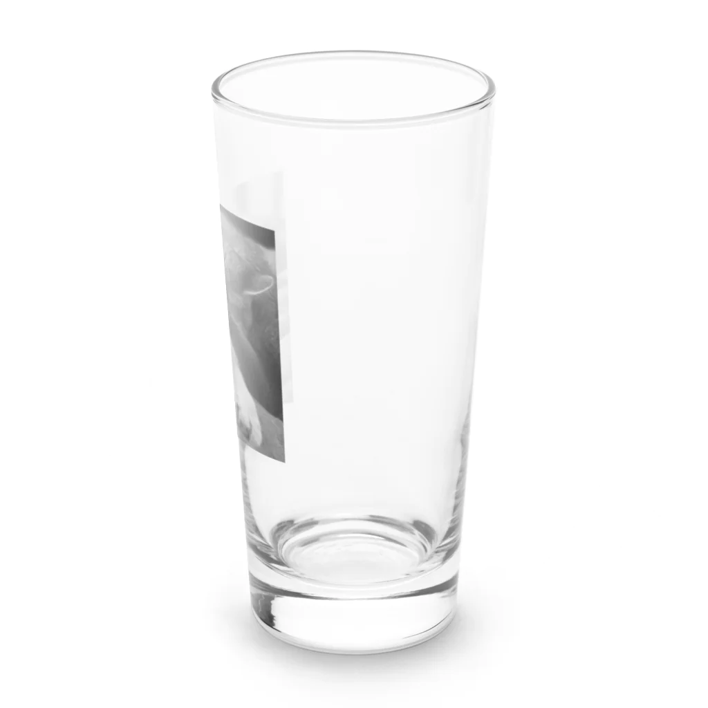 chocomegane0228のモノクロ猫 Long Sized Water Glass :right