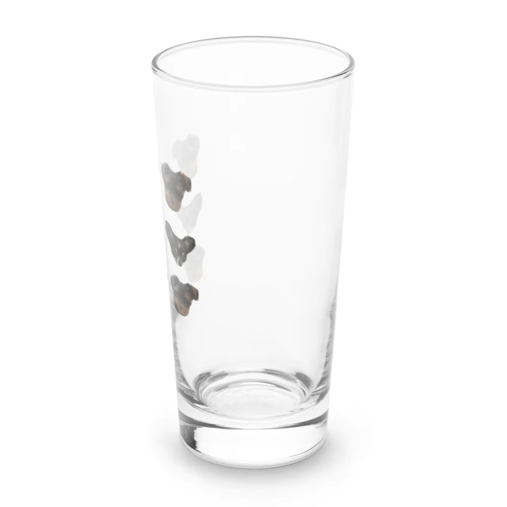 チワワのバレンとヨープーのテアのチワワとヨープー Long Sized Water Glass :right