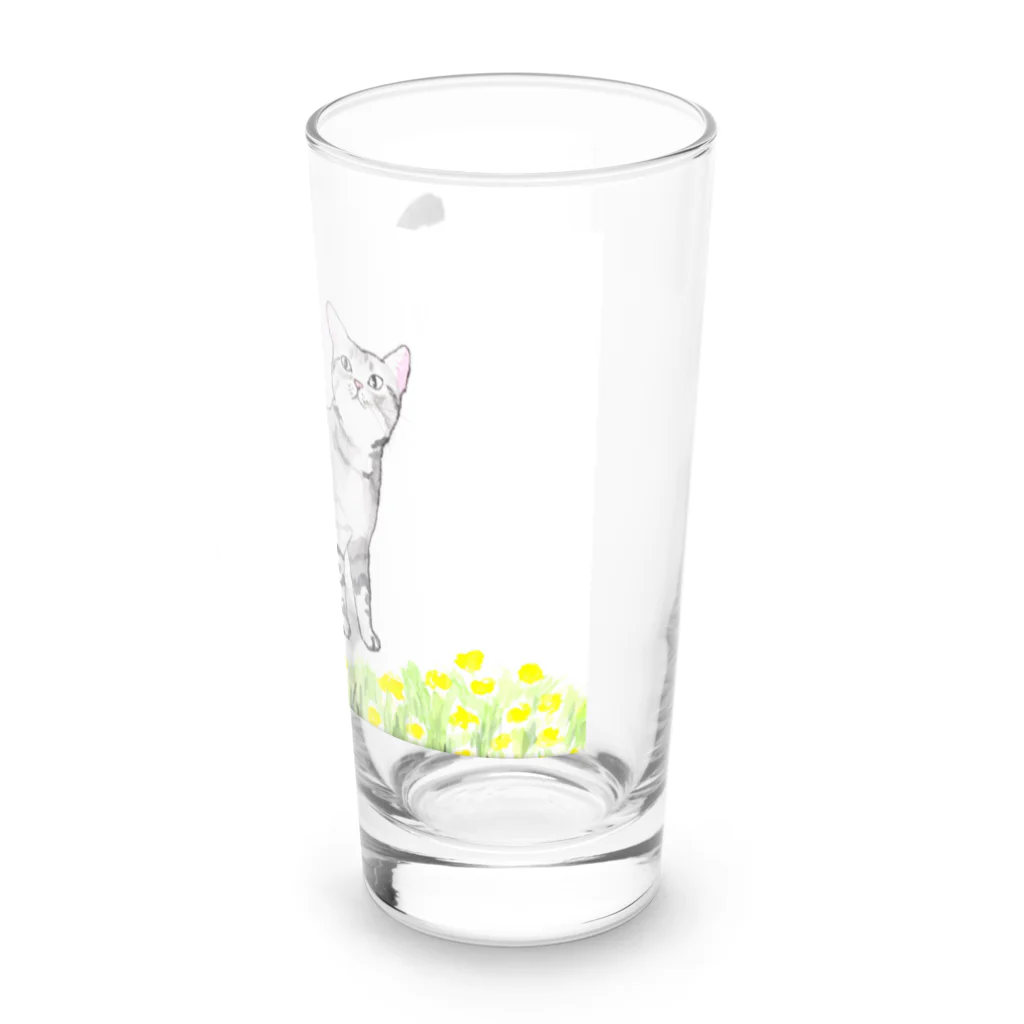 スタジオマリンのオシキャット Long Sized Water Glass :right