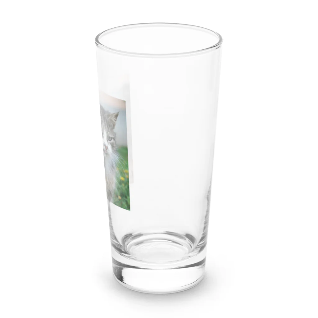 ニゴ猫　shopの愛だろう愛 Long Sized Water Glass :right