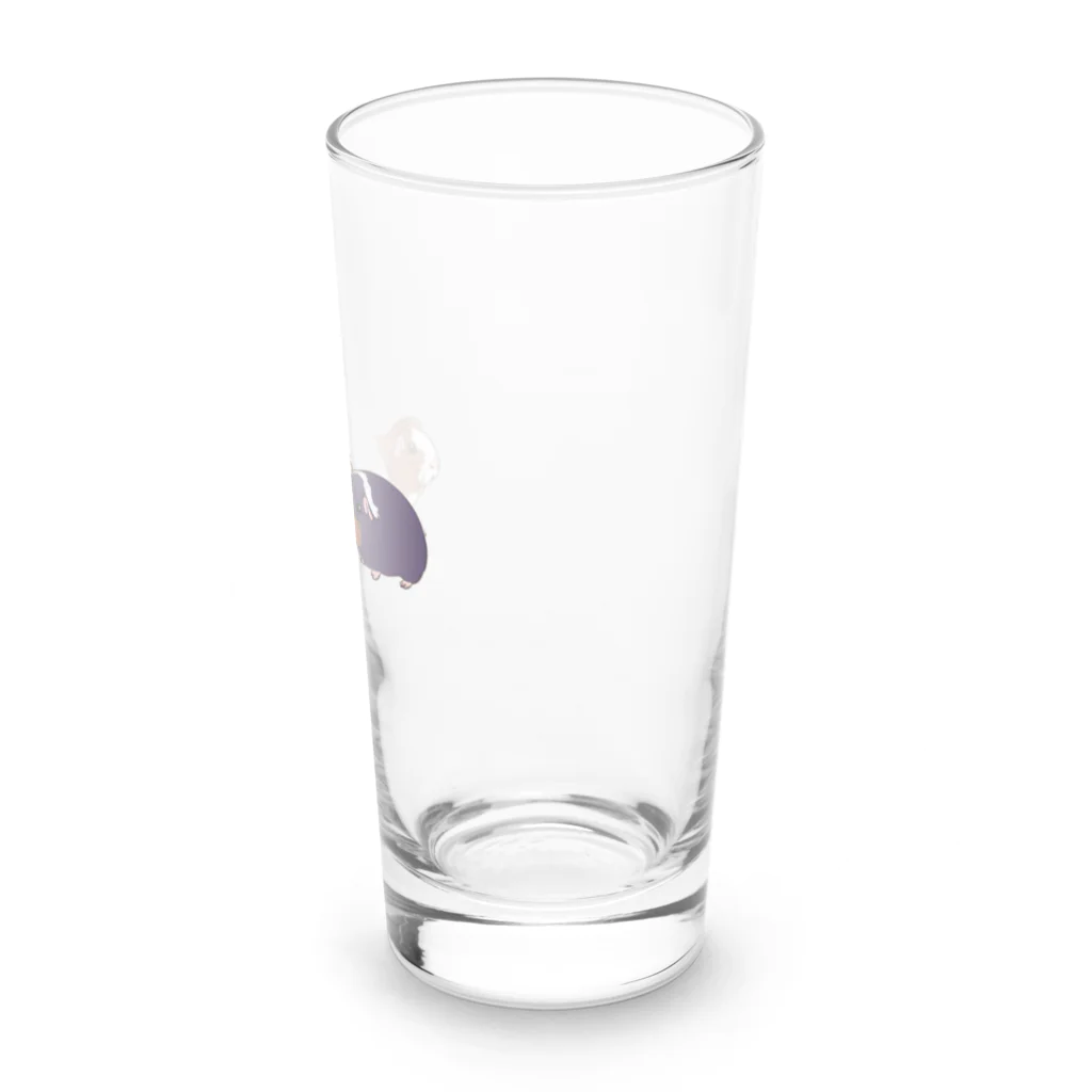 OKameMolꕤ︎︎オカメモルの3色の個性派モルモット Long Sized Water Glass :right