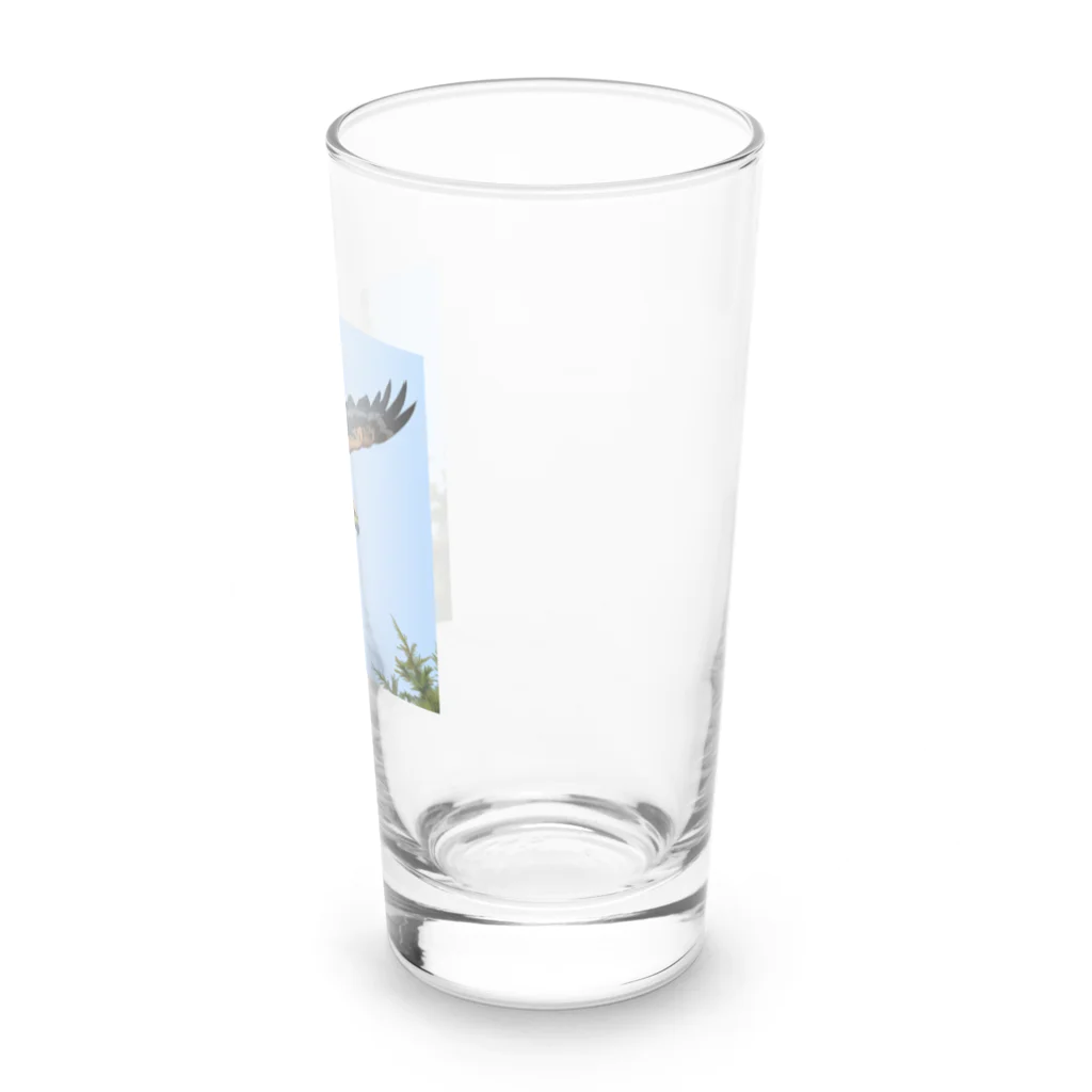 ganeshaの鳥の羽ばたきに続く鷹 Long Sized Water Glass :right