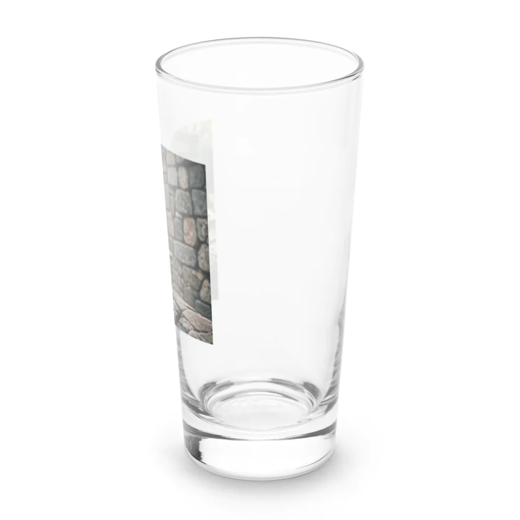 TakeKAKEの国外逃亡をはかる蛇 Long Sized Water Glass :right