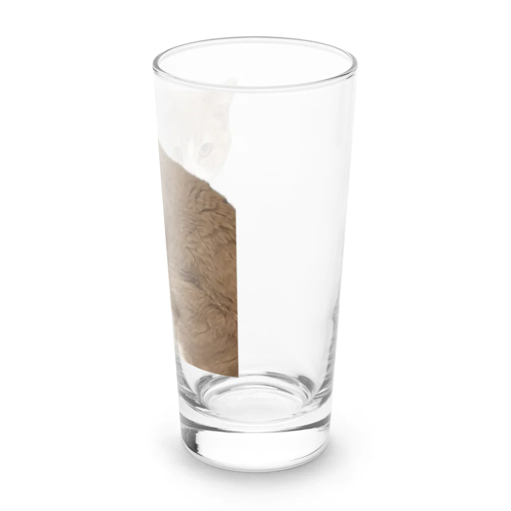 Mashlyのマシロくん猫グッズ Long Sized Water Glass :right