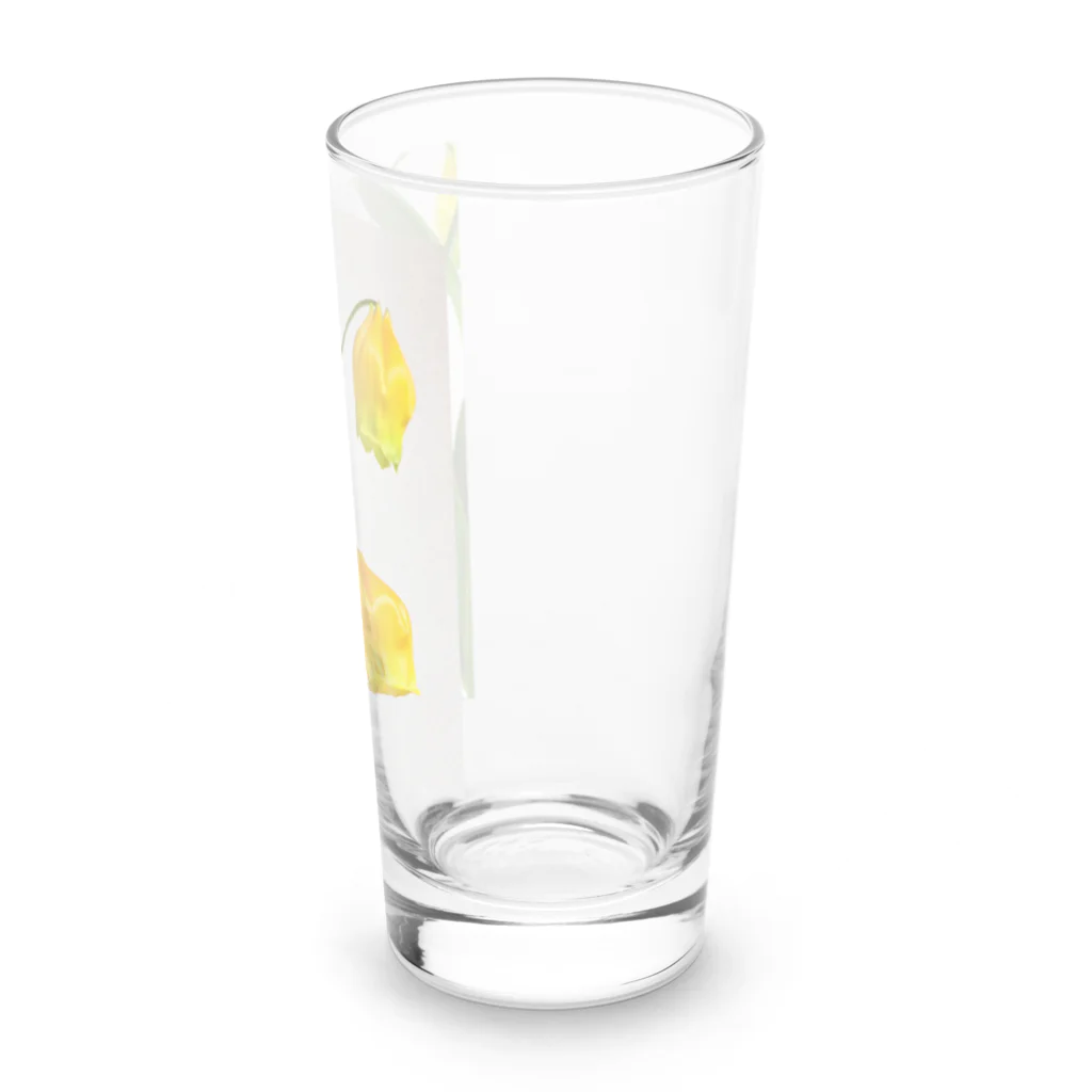 Soleilのサンダーソニア Long Sized Water Glass :right