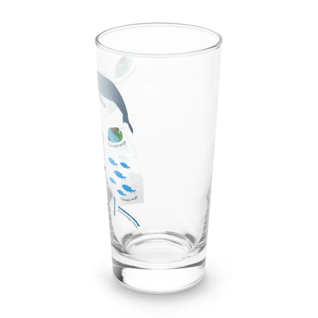 L_arctoaの沖縄の海の生き物 Long Sized Water Glass :right