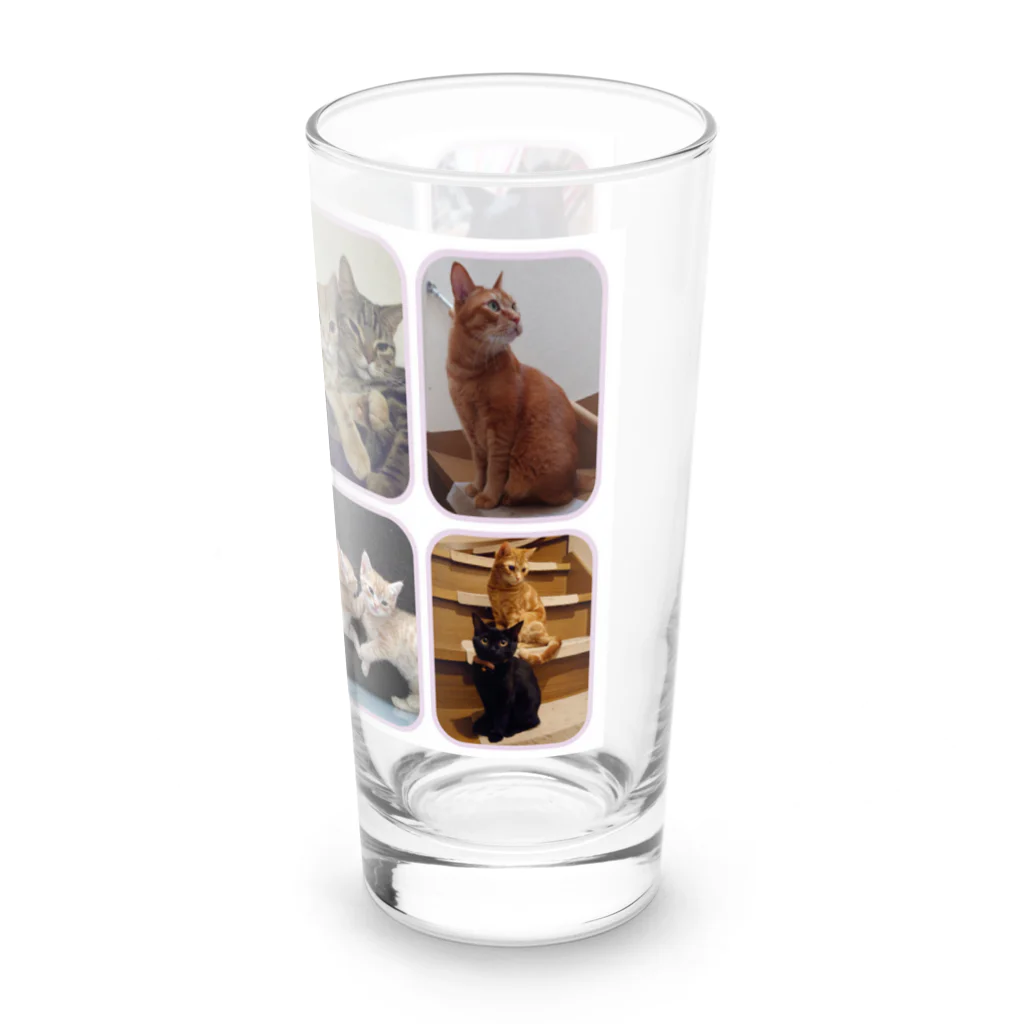 サーバルさんと仲良し家族😻のにゃんこ大集合 Long Sized Water Glass :right