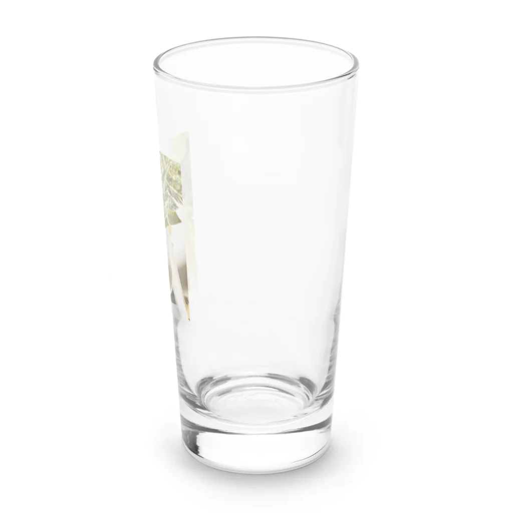 Mizuki・ASIA CATのコルク集め Long Sized Water Glass :right