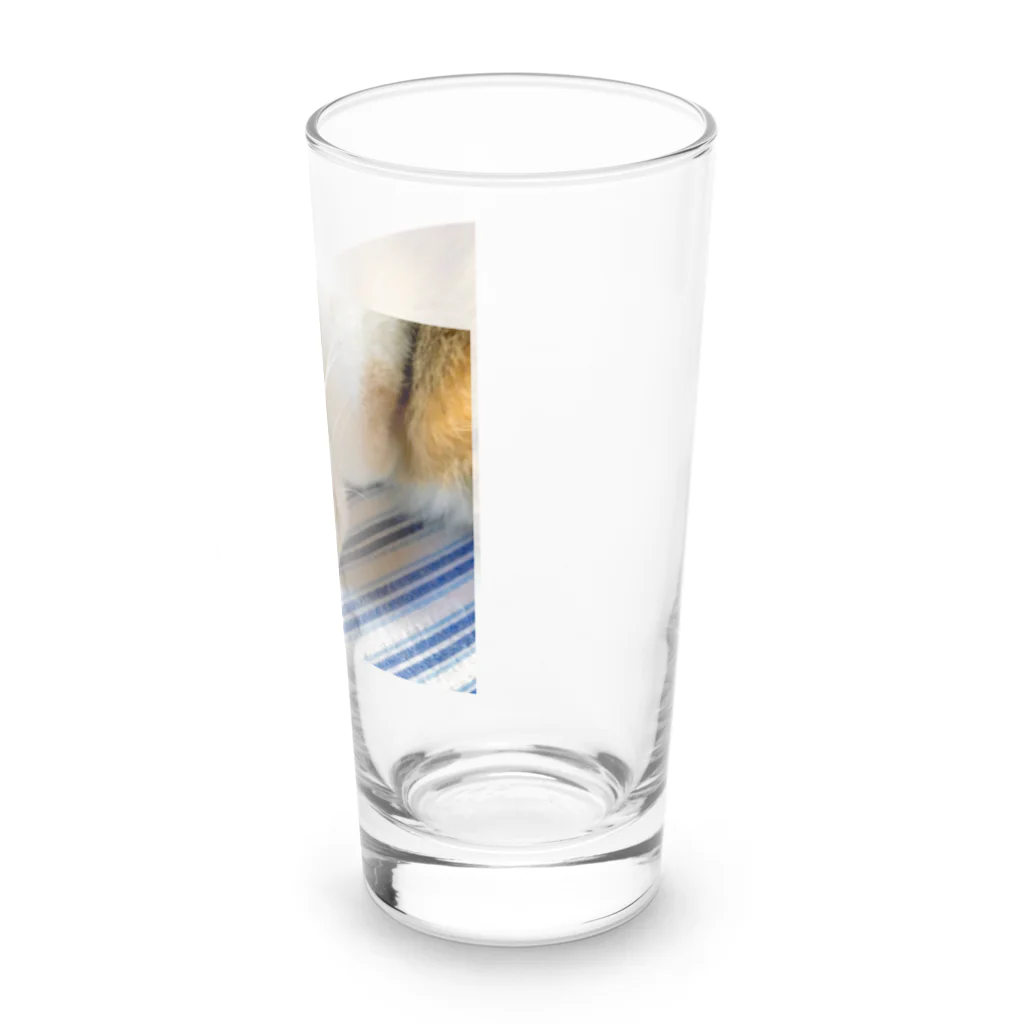 ねこちゃんが大好きなのです。の愛猫れいにゃんのグッズ Long Sized Water Glass :right