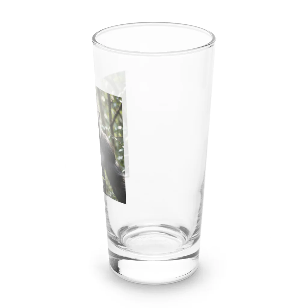 animalzのミステリアスで力強い、ジャングルの王者ゴリラが登場！ Long Sized Water Glass :right