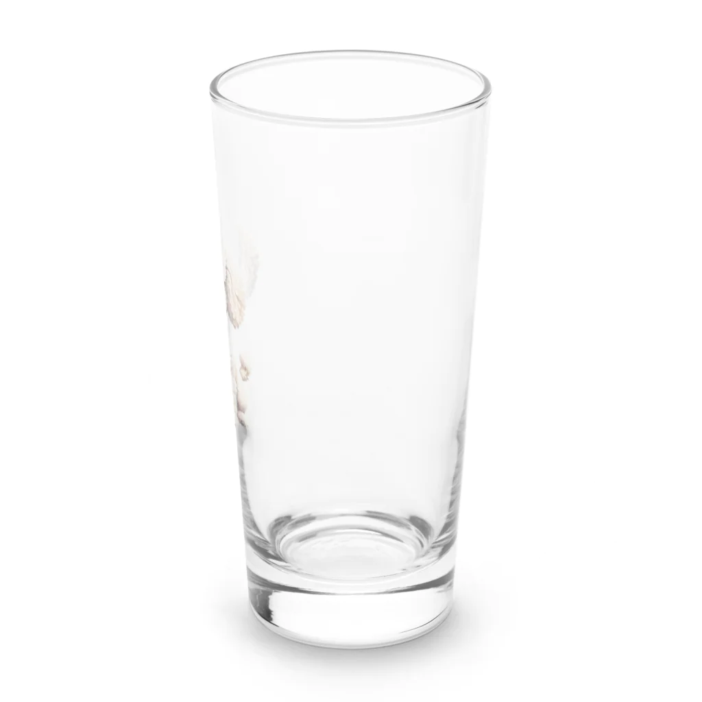 アニマルアートのプードル Long Sized Water Glass :right