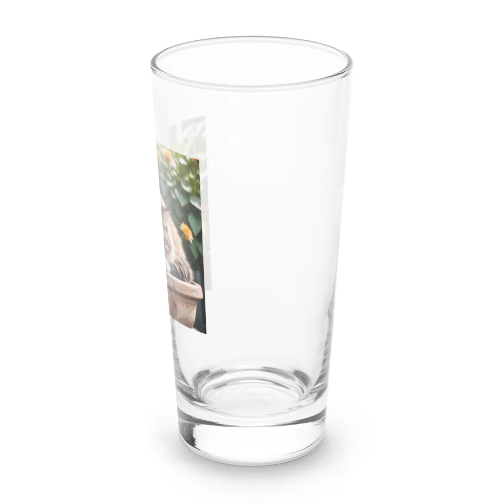 amaneiro___のお花の上でくつろぐ猫 Long Sized Water Glass :right