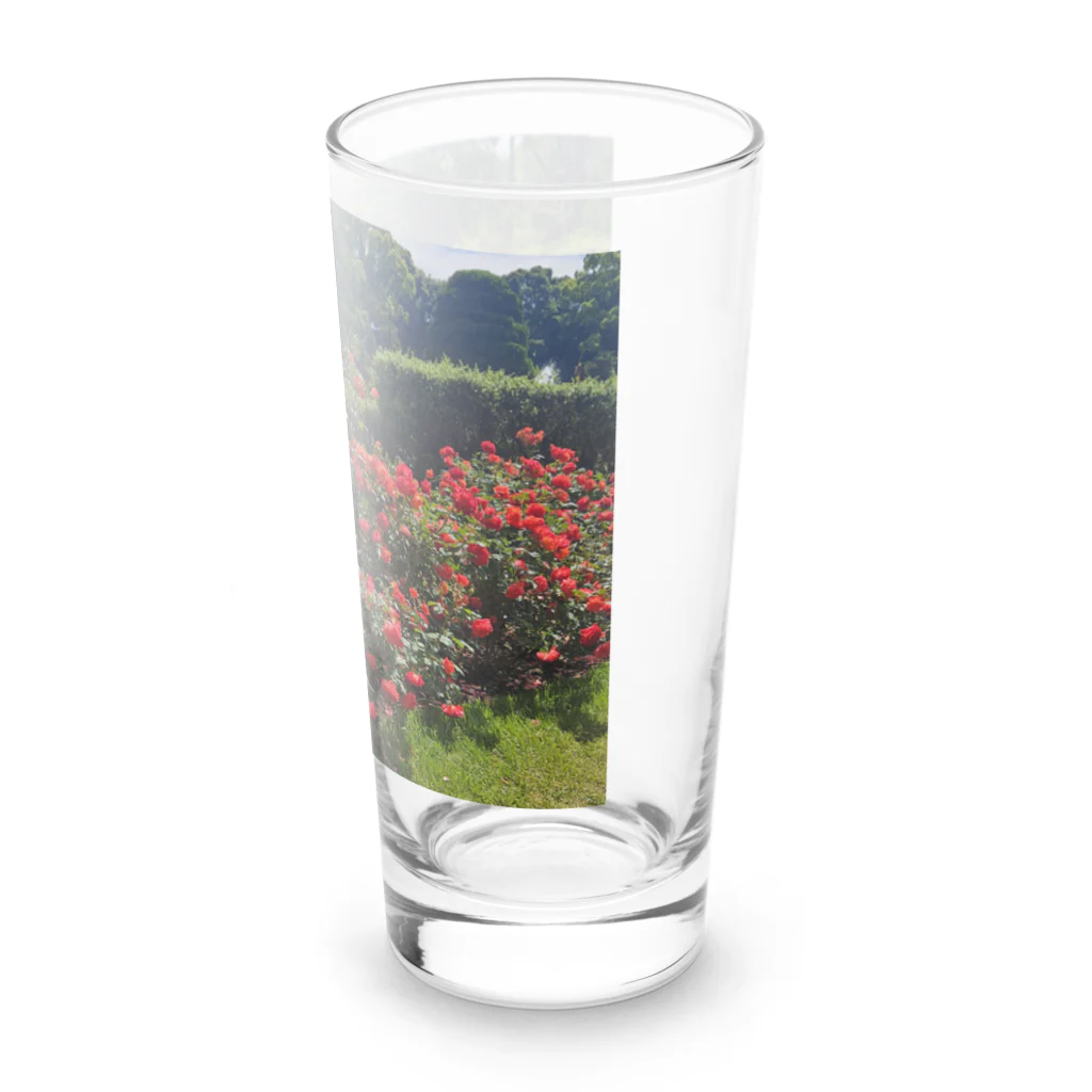 A.santeの薔薇が咲いたよ Long Sized Water Glass :right