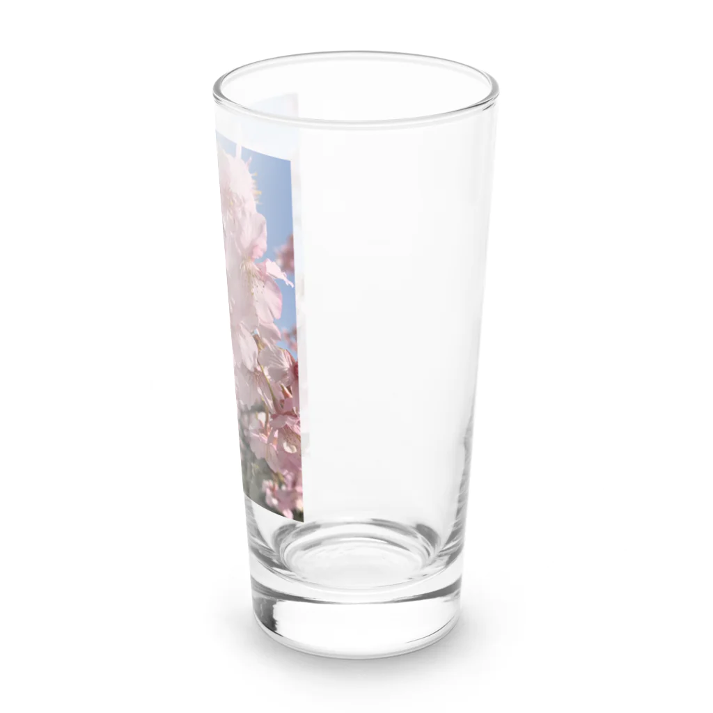 mizuiro-8556のさくら Long Sized Water Glass :right