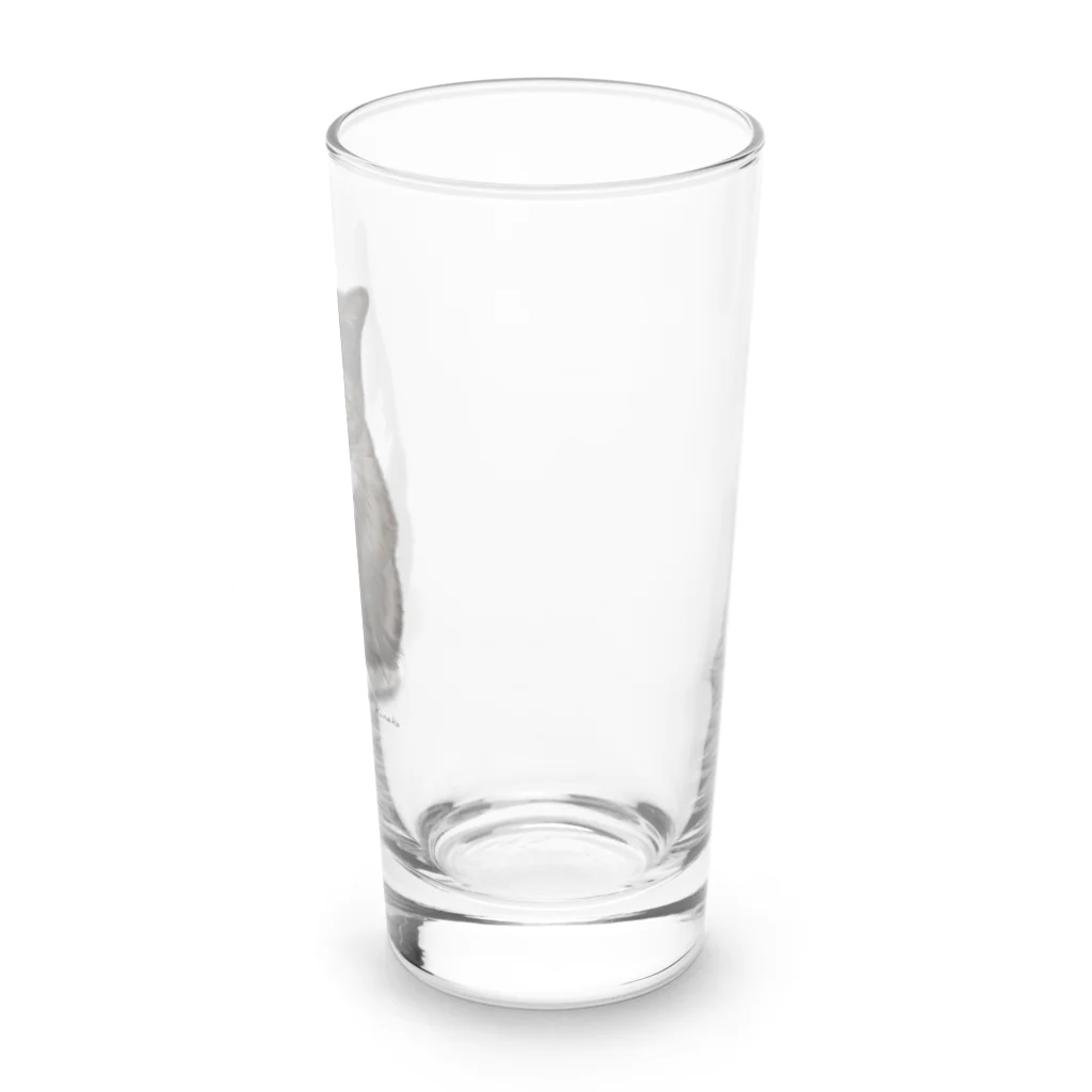 kinako-japanのくつした猫のくろみつ Long Sized Water Glass :right