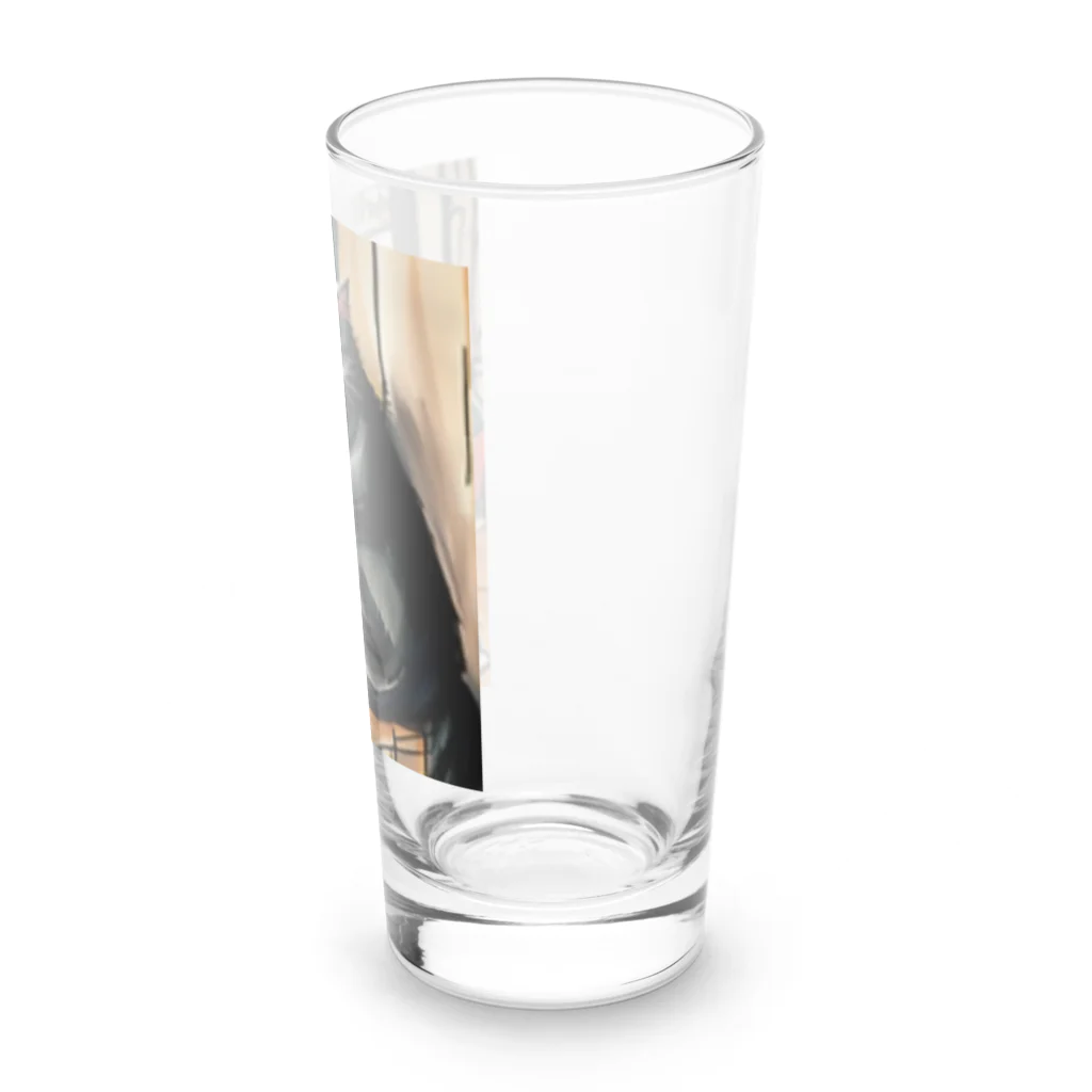 Ppit8のまったり猫 Long Sized Water Glass :right