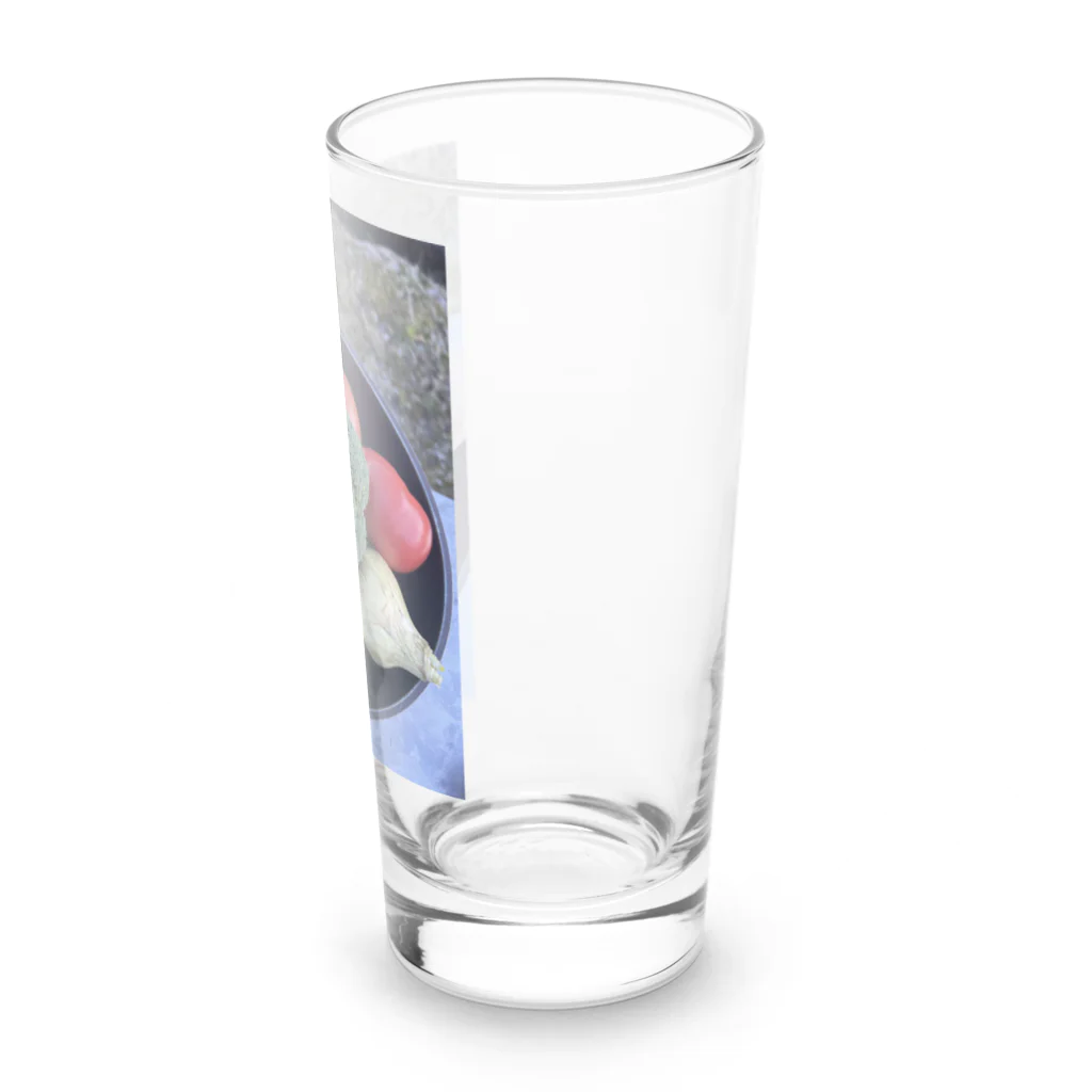 ___piguの野菜の子供達 Long Sized Water Glass :right