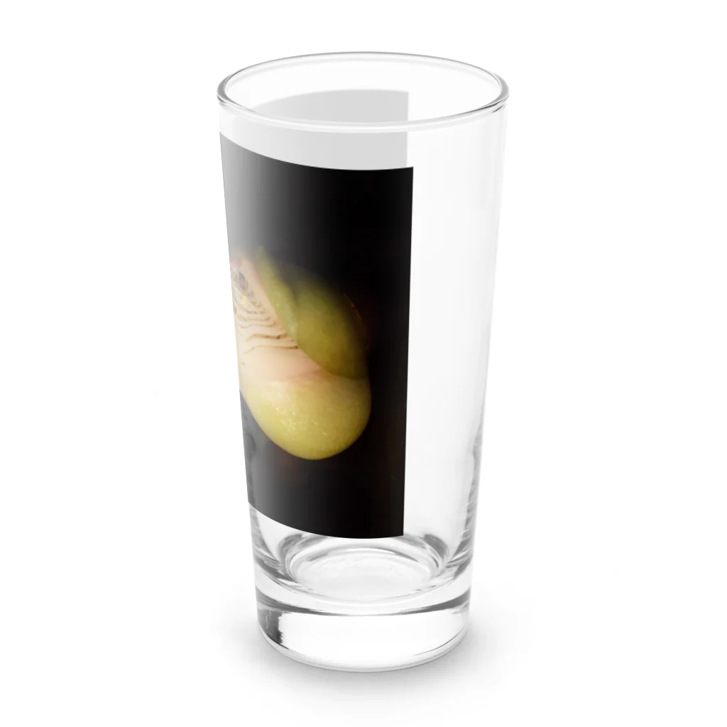 Kusatimuiの内なる輝き　〜龍体文字入り〜 Long Sized Water Glass :right