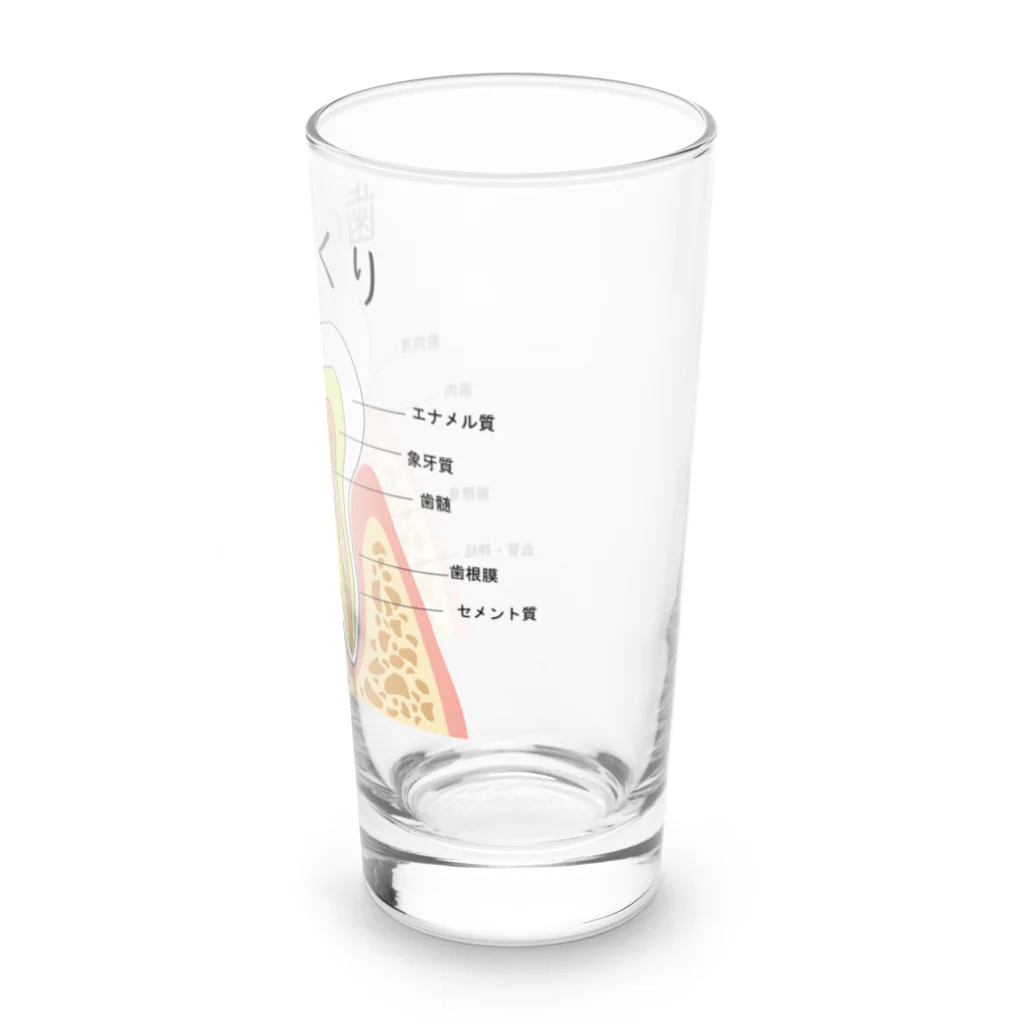 miu8080の歯のつくり Long Sized Water Glass :right