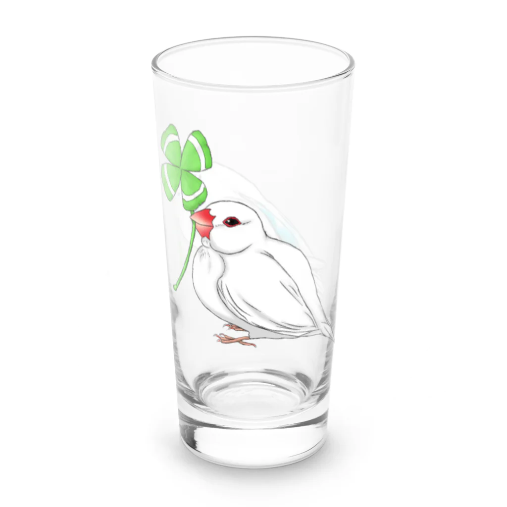 Lily bird（リリーバード）のセキセイインコと文鳥とクローバー フルカラー① Long Sized Water Glass :right