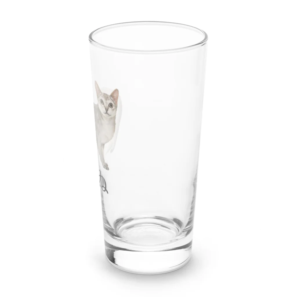 矛盾の森。のいぬ。 Long Sized Water Glass :right