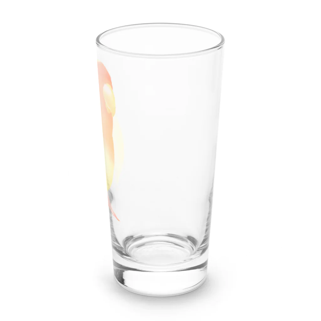 まめるりはことりのコザクラインコ　おすましルチノー【まめるりはことり】 Long Sized Water Glass :right