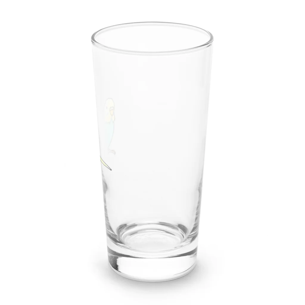 まめるりはことりのごきげんセキセイインコ【まめるりはことり】 Long Sized Water Glass :right