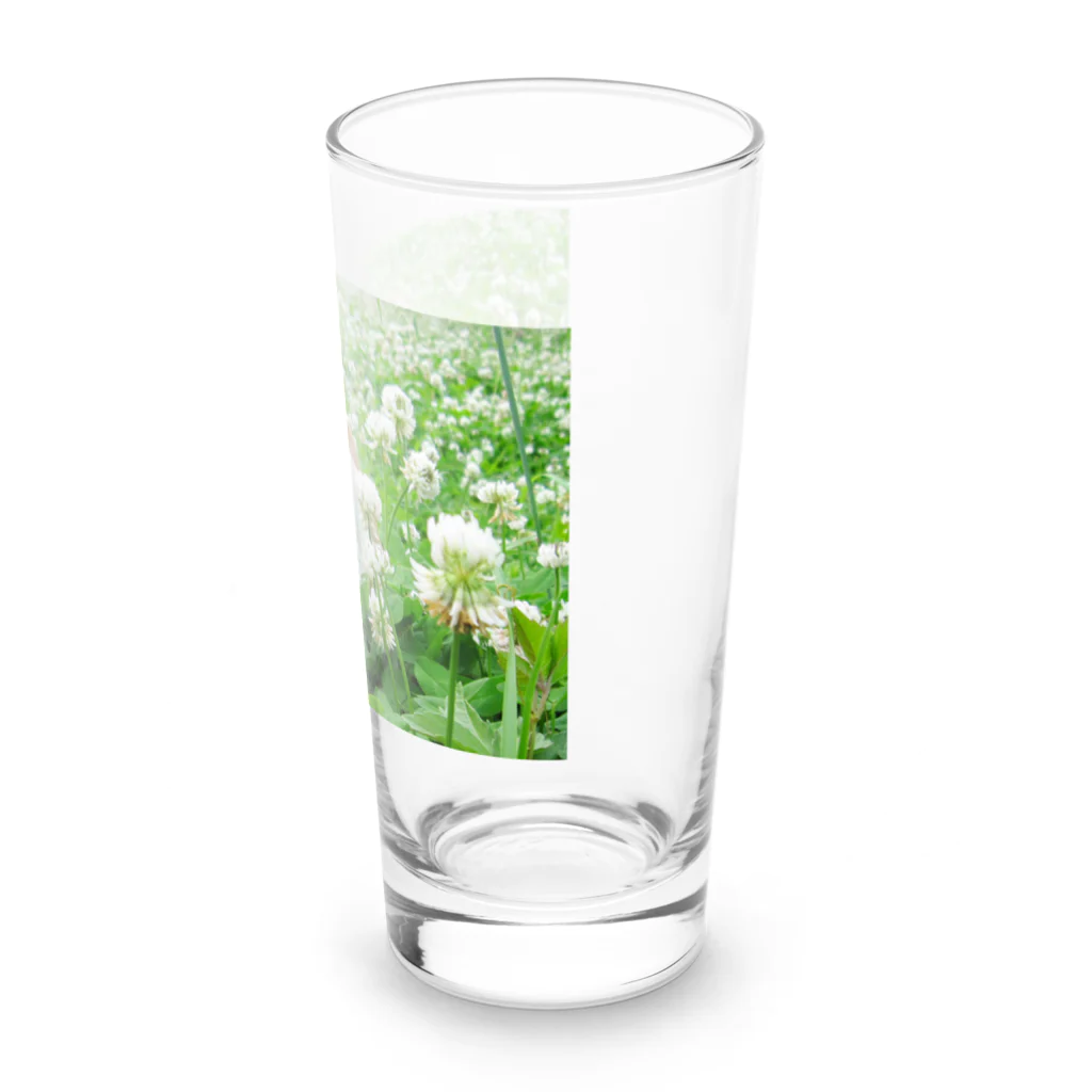 akane_art（茜音工房）のカラフルチワワ（クローバー） Long Sized Water Glass :right