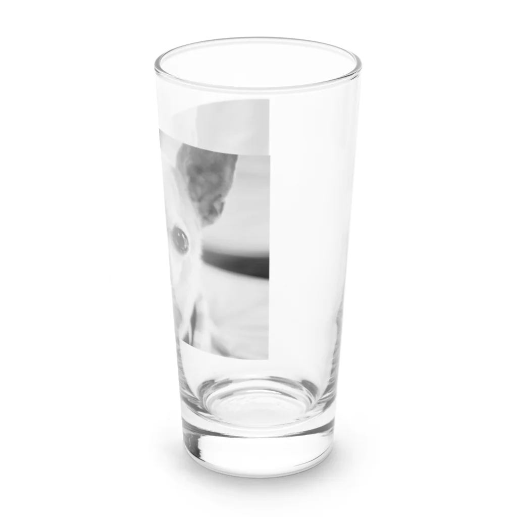 akane_art（茜音工房）のモノクロチワワ（おすまし） Long Sized Water Glass :right