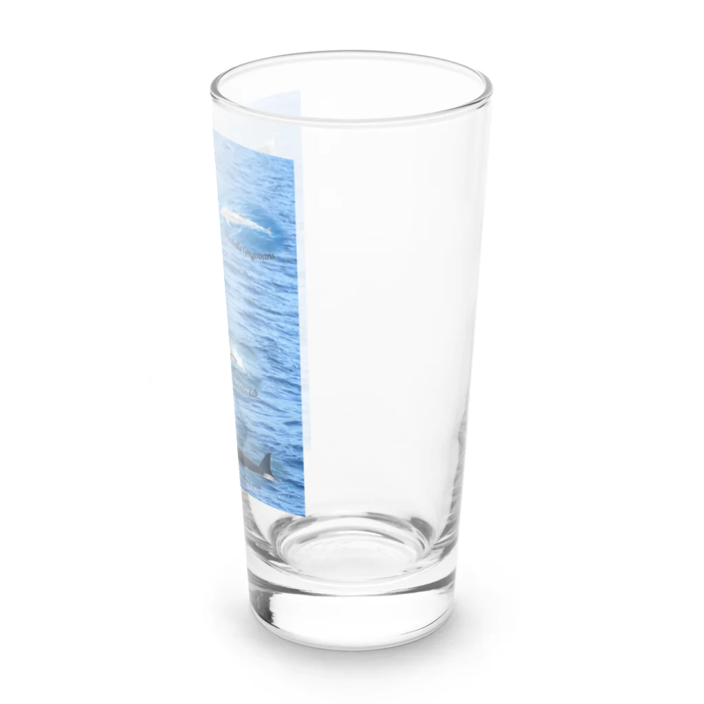 L_arctoaの船上から見た鯨類(1) Long Sized Water Glass :right
