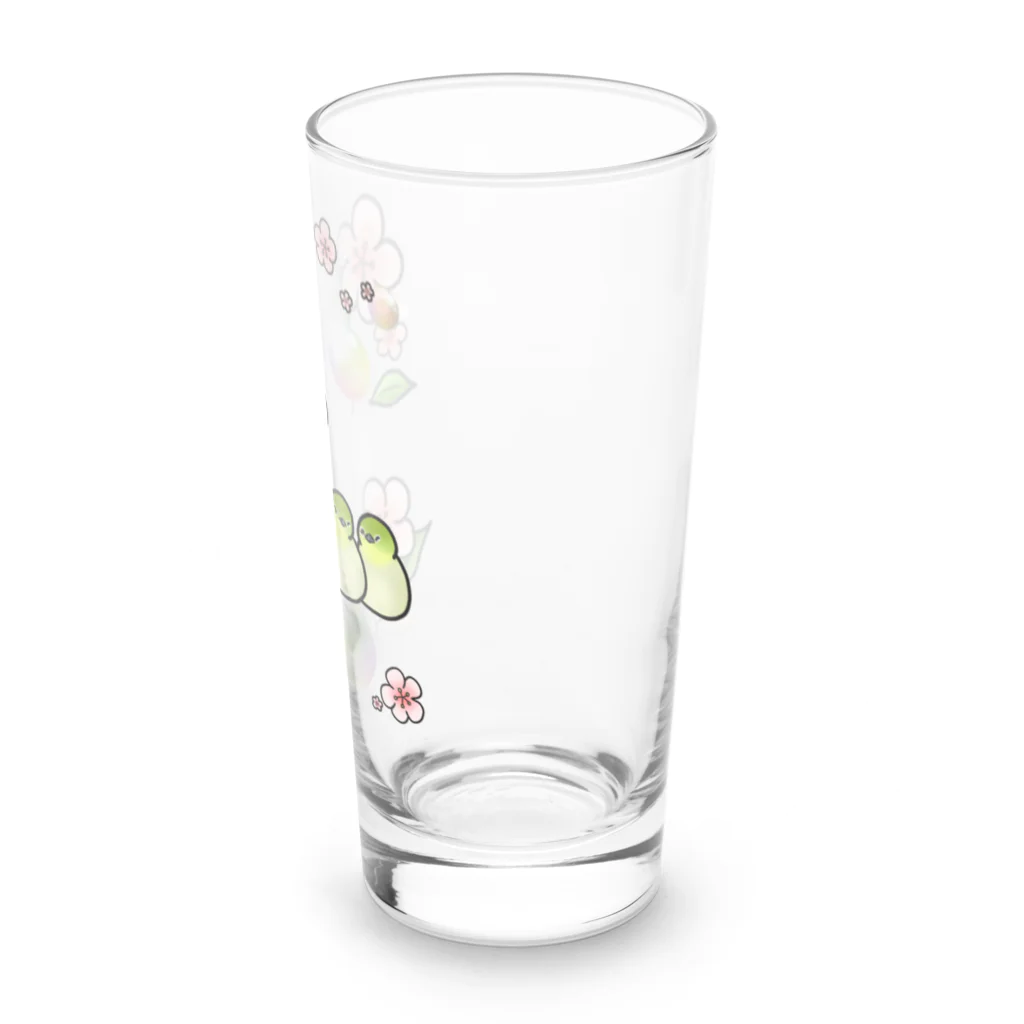 Lily bird（リリーバード）のほわほわメジロ梅 Long Sized Water Glass :right