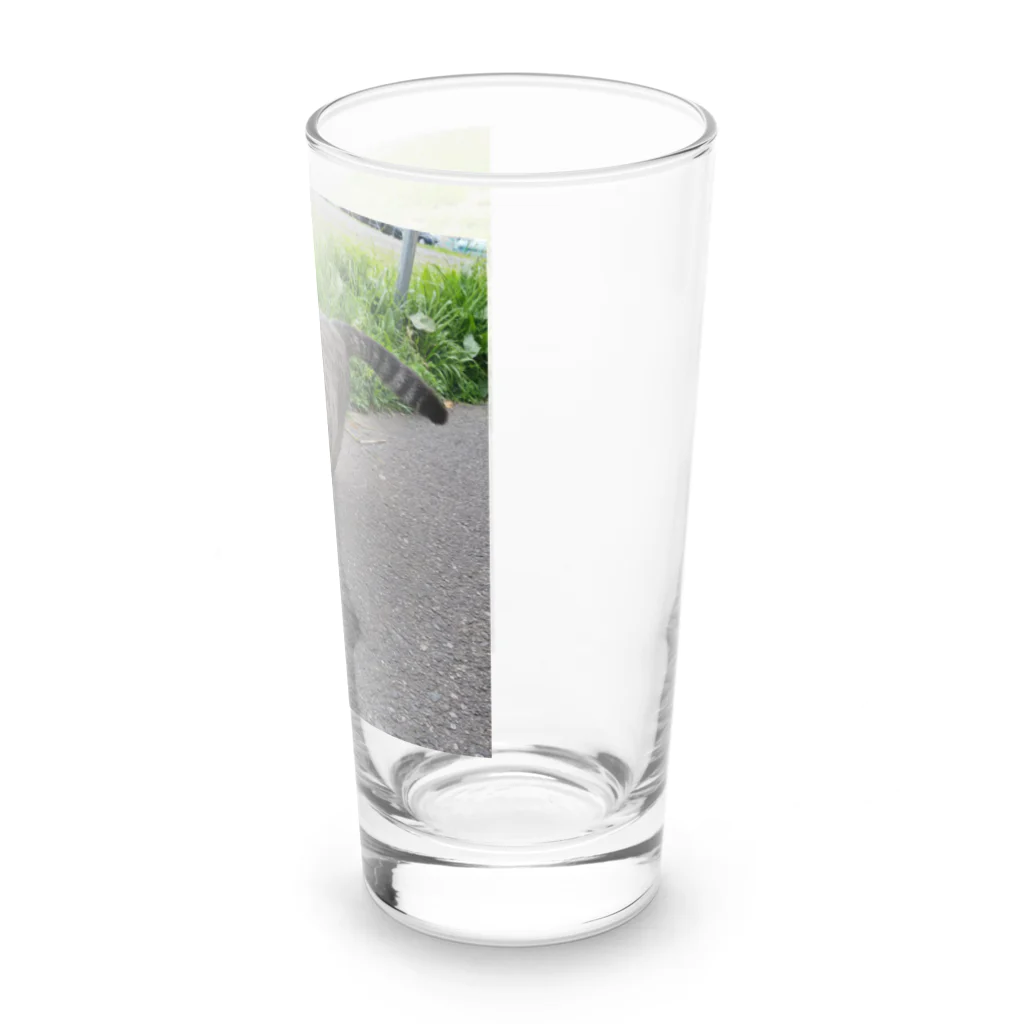 ながしっぽ from.さくらねこの家のとらちゃん　type.D Long Sized Water Glass :right