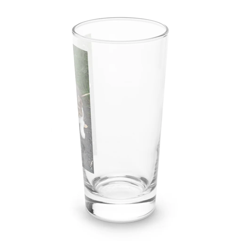 ながしっぽ from.さくらねこの家のながしっぼ　type.F Long Sized Water Glass :right