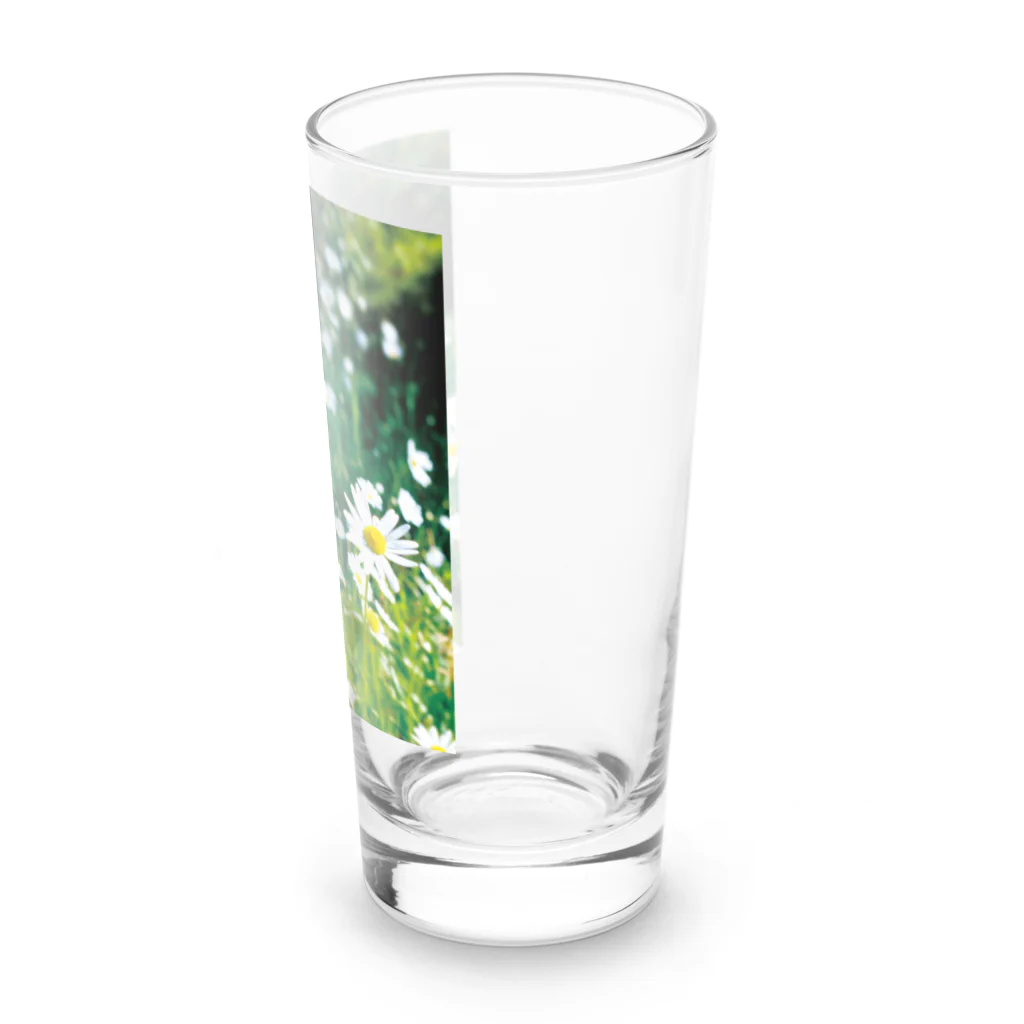 akane_art（茜音工房）の癒しの風景（シャスタデイジー） Long Sized Water Glass :right