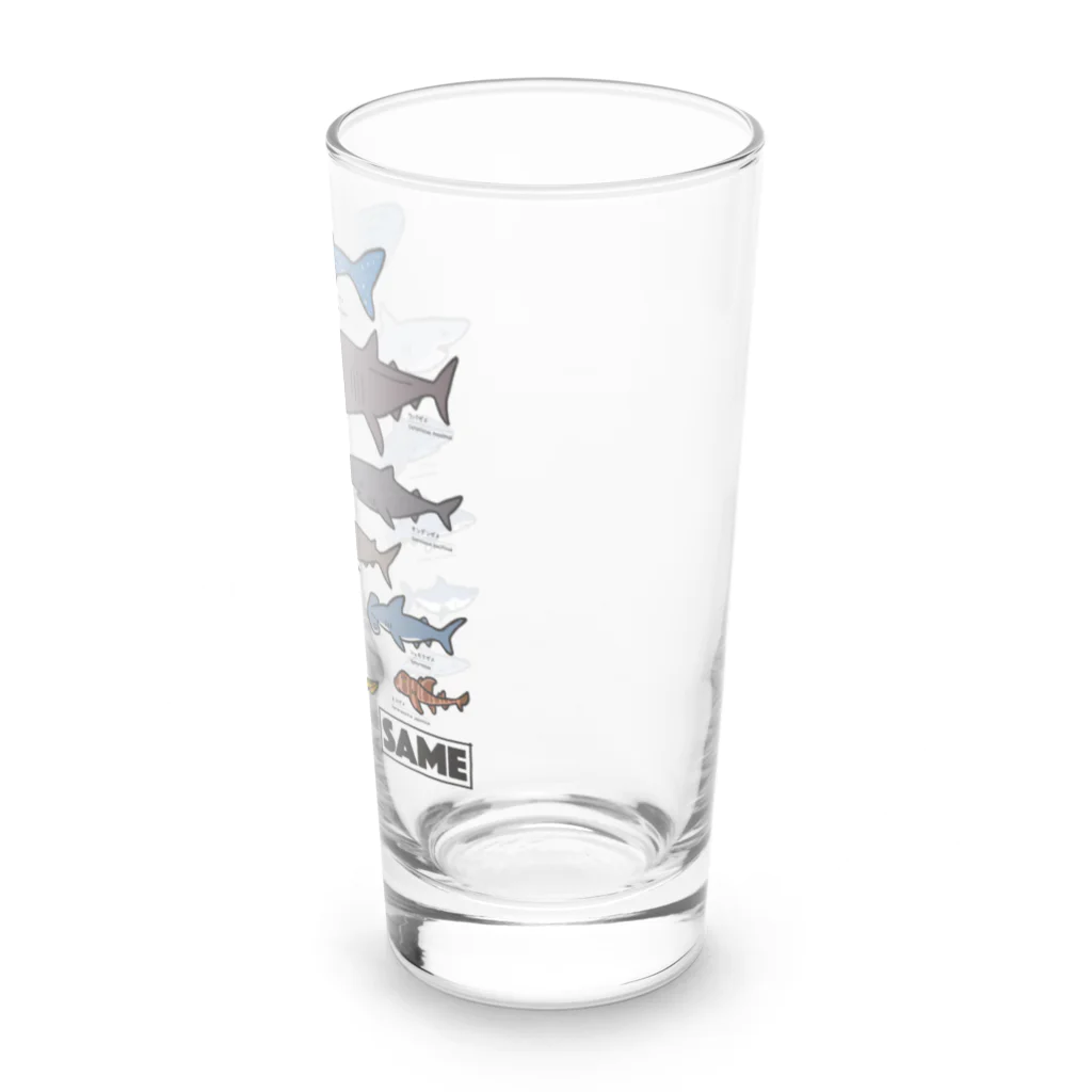 mincruのサメ図鑑 Long Sized Water Glass :right