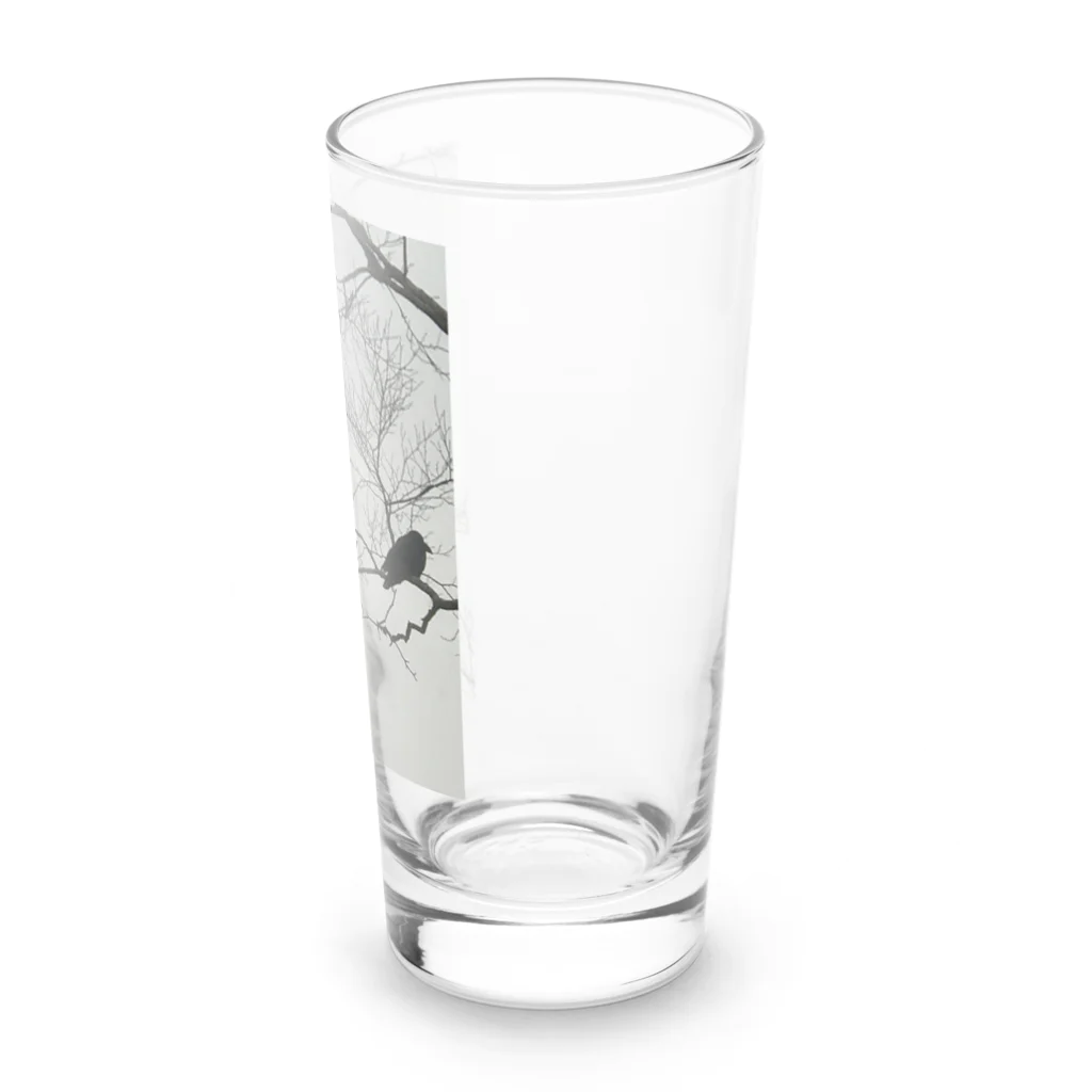 空屋　sorayakusakaの202012300958002　寒烏 Long Sized Water Glass :right