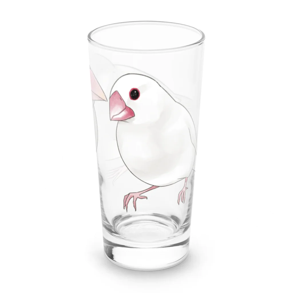 まめるりはことりの幸せ文鳥ちゃん【まめるりはことり】 Long Sized Water Glass :right