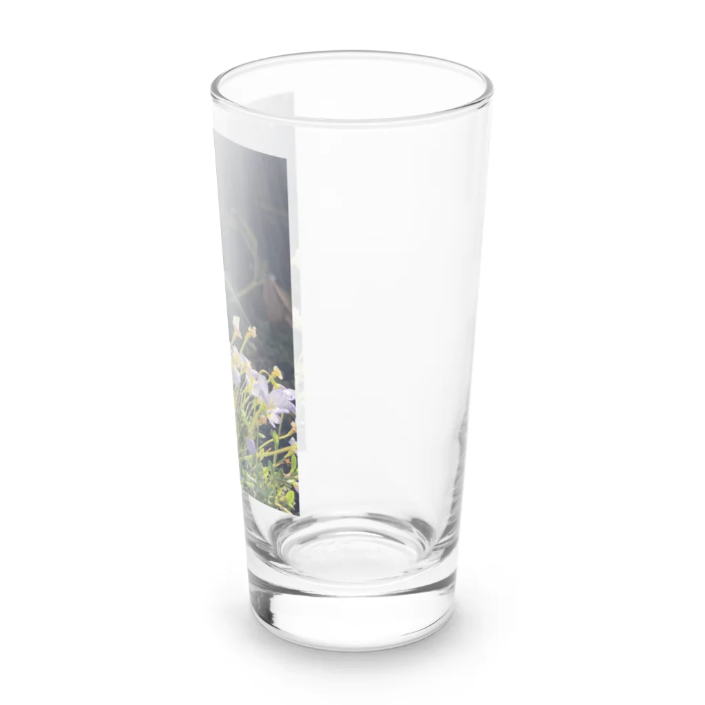 💖宇宙整体♪🌈♪こころからだチャンネル♪💖の植物のオーラ Long Sized Water Glass :right