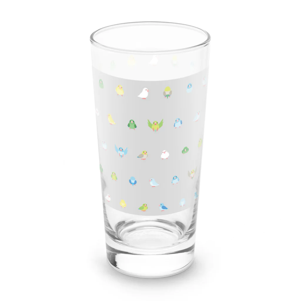 まめるりはことりのちみまめあつまれマメルリハちゃん【まめるりはことり】 Long Sized Water Glass :right