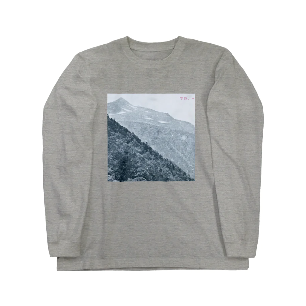 リューカデンドロンの山 Long Sleeve T-Shirt