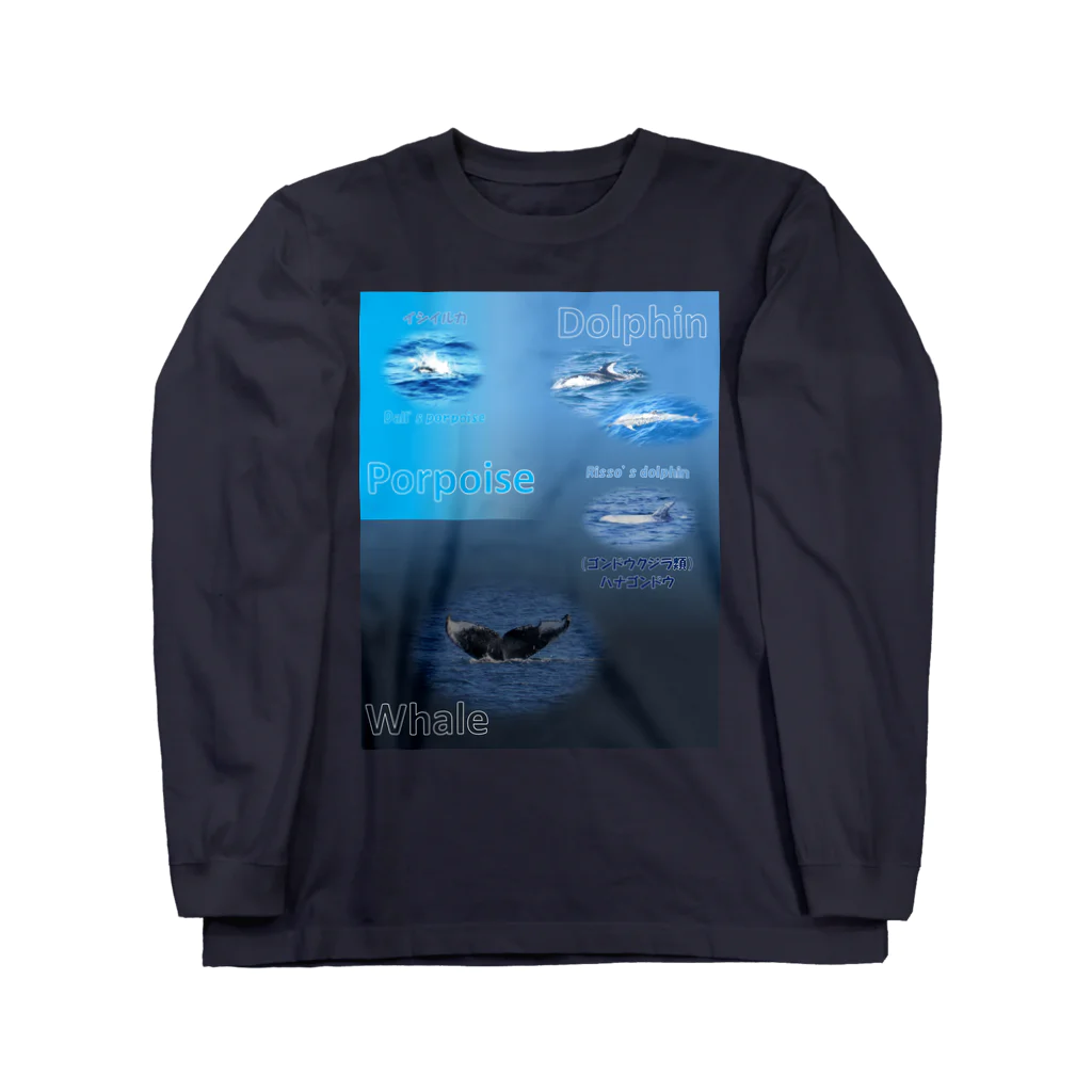 L_arctoaのイルカとクジラの違い Long Sleeve T-Shirt