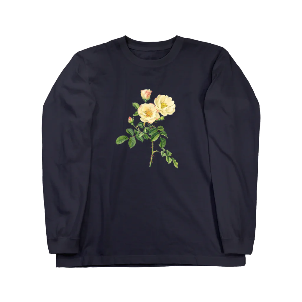 古書　天牛書店の薔薇図鑑より＜ボタニカルアート＞ ロングスリーブTシャツ