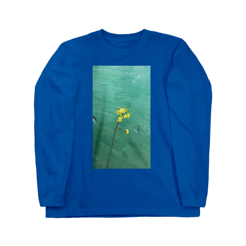 花畑写真館🌷の#5 みどりの壁と黄色いお花 ロングスリーブTシャツ