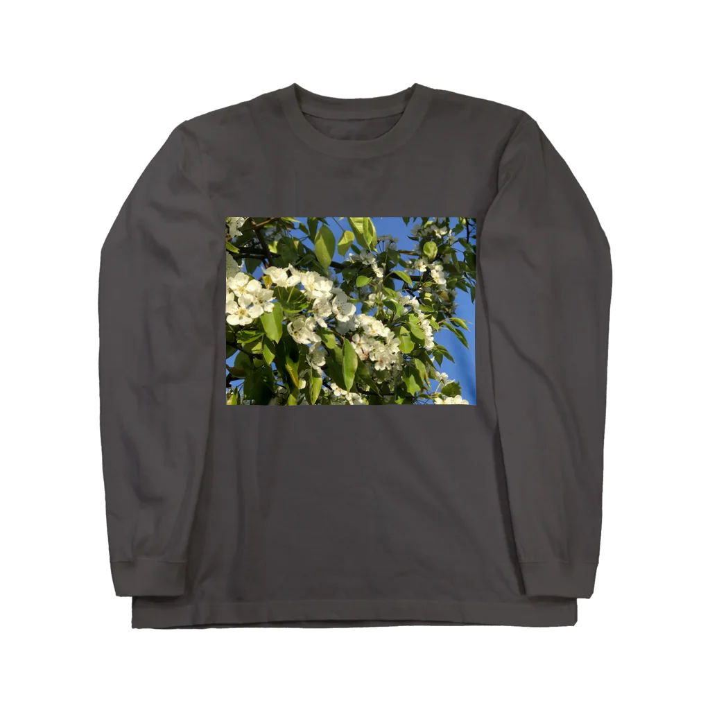 空屋　sorayakusakaの201905271711000　晴れた日のエゾリンゴ Long Sleeve T-Shirt