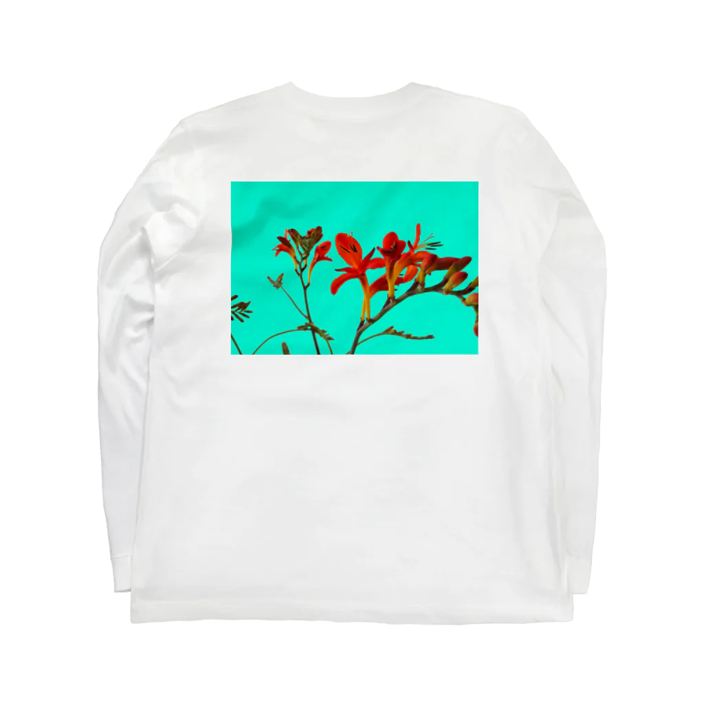 CALAKUEN(SOIL)のCrocosmia back print T ロングスリーブTシャツの裏面