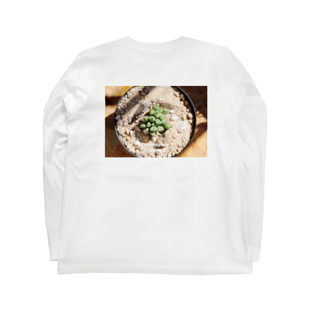 趣味Tのコノフィツム Long Sleeve T-Shirt :back