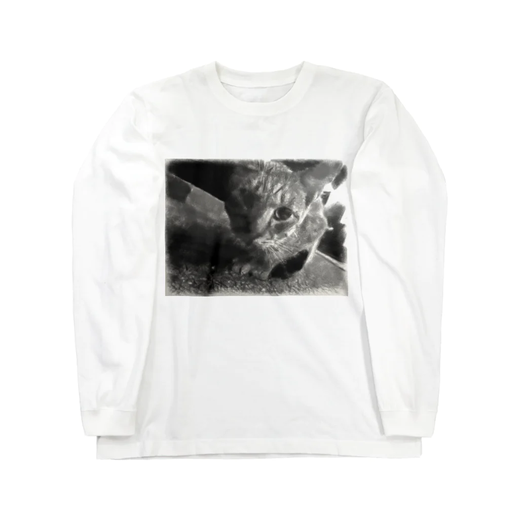 ハオルチアの猫ちゃん ロングスリーブTシャツ