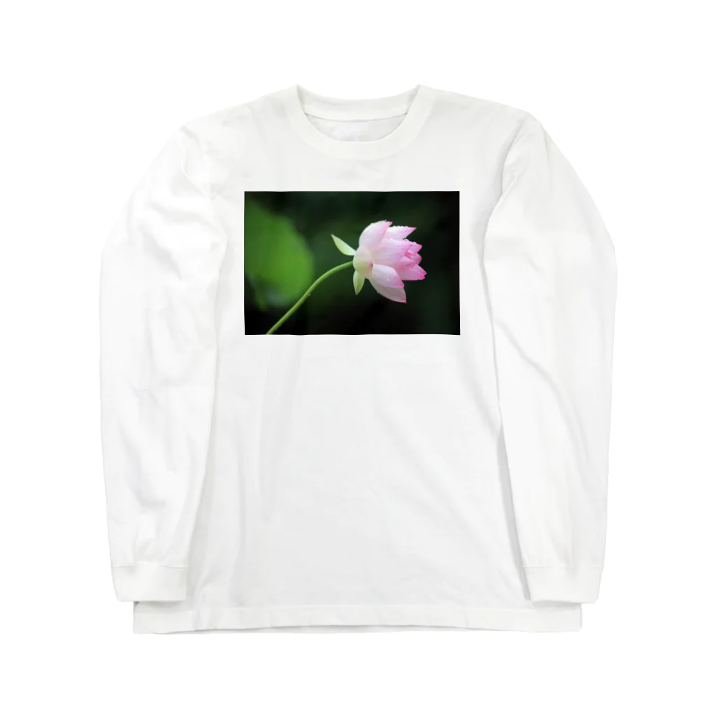 photo-kiokuの蓮 Long Sleeve T-Shirt