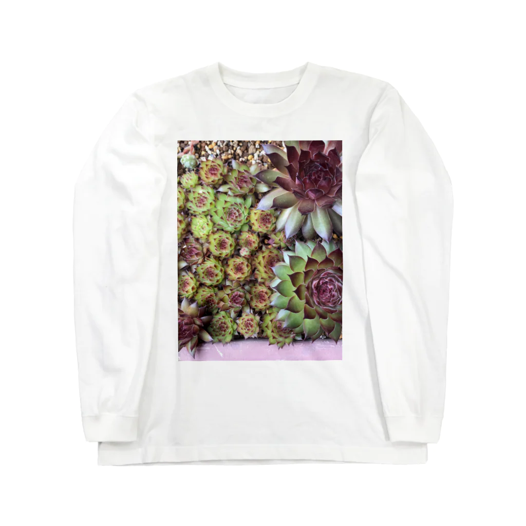 シアン猫の植物図鑑のセンペルいっぱい Long Sleeve T-Shirt